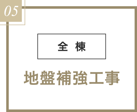 全棟、地盤補強工事